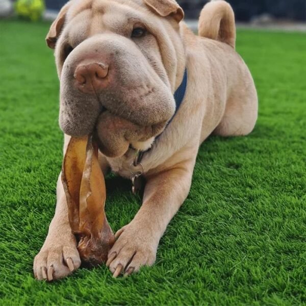 Hestia 40mm pet-safe artificial grass