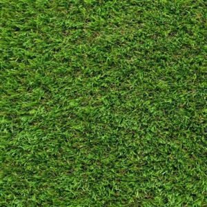 Daisy 40mm velvet-touch turf detail