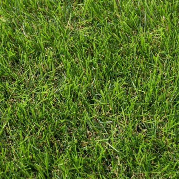 Stamford 40mm deep-pile luxury grass