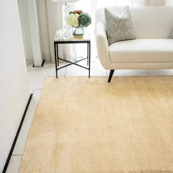 Premium Mesh Pattern Bordered Rug Design