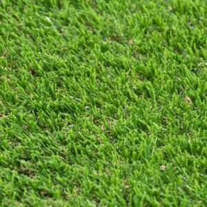 Witham 42mm lush artificial grass.