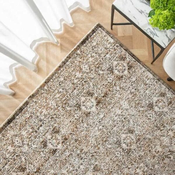 Traditional rug with faded repeating print