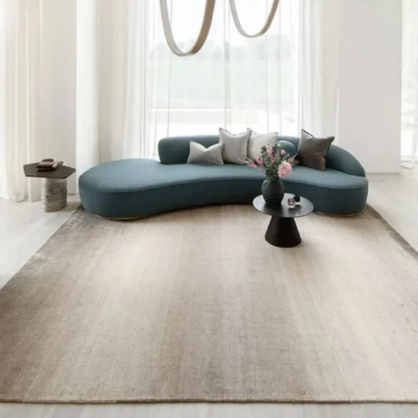 Shaded Solid Ombré Designed Rugs - Image 5