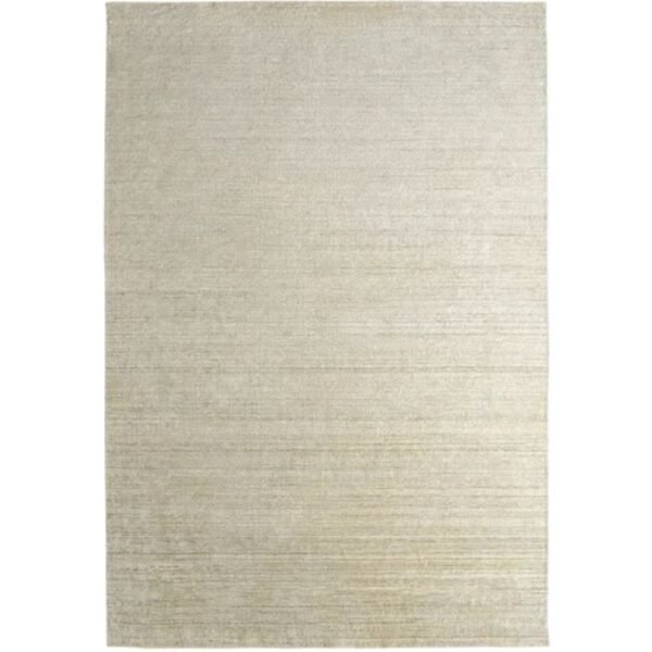 Soft and highly textured rug