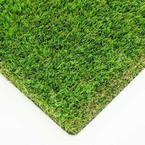 Daisy 40mm blade profile from edge