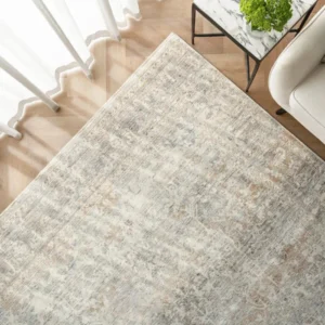Textured Distressed Beige Rug