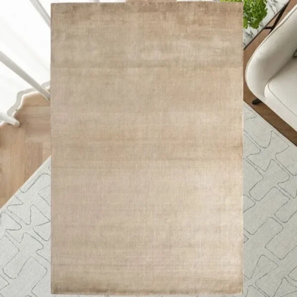 Top view of ombré rug