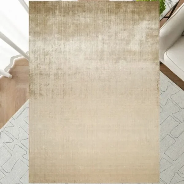 Top view of ombré effect rug