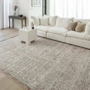 Vintage style faded rug for homes