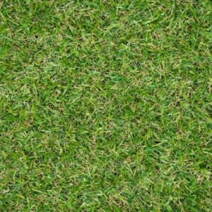C-shaped green grass blade close-up
