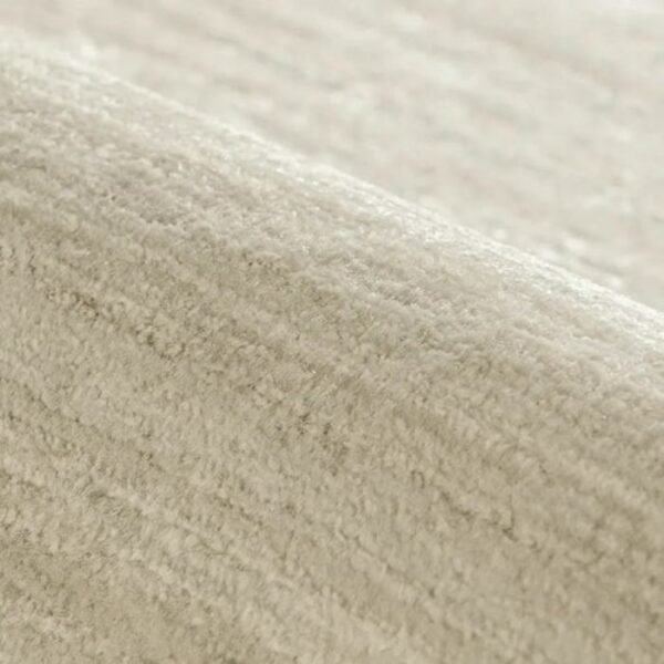 Rug with elevated surface texture