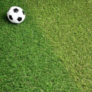Wembley 30mm comfortable flat yarn.