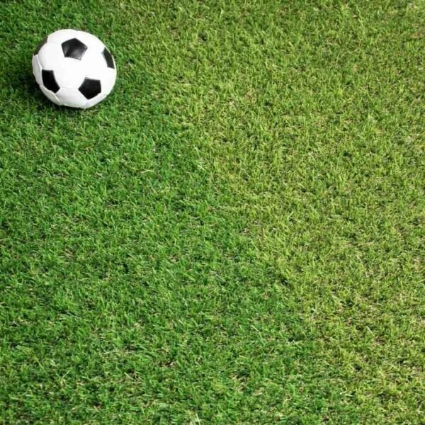 Wembley 30mm comfortable flat yarn.