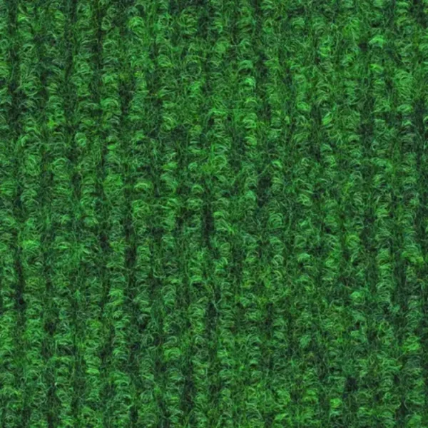 0031 Kiwi