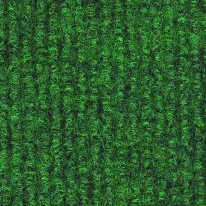0031 Kiwi