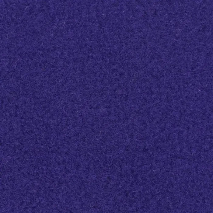 9539 Violet