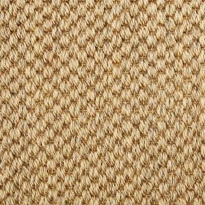 Bombay Cinnamon 0009 - Image 2