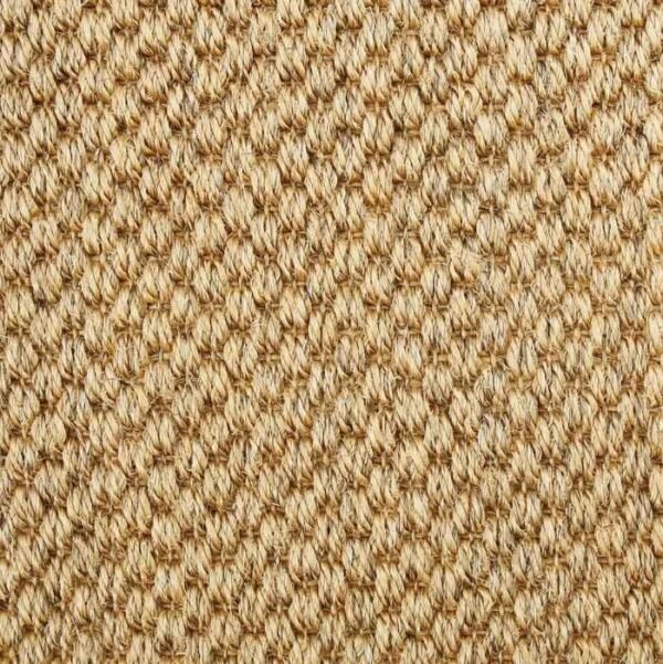 Bombay Cinnamon 0009 - Image 2
