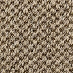 Bombay Coriander Seed 7009
