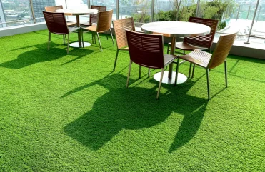 Grass Carpet in Abu Dhabi