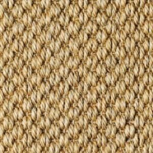 Malay Tigers Eye 2504