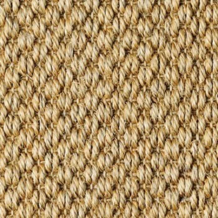 Malay Tigers Eye 2504