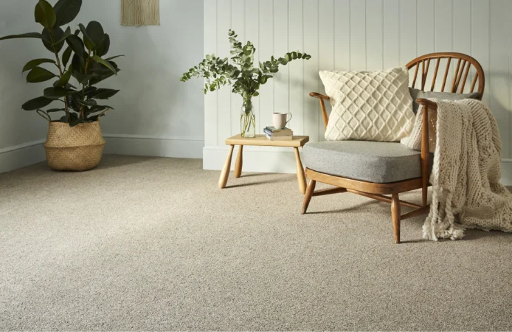 Natural Beige Comfort Carpet Flooring in Dubai