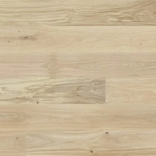 Oak Bianco