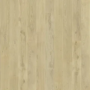 Oak Dazy