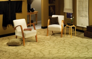 Premium Wall-to-Wall Carpet for Ultimate Comfort