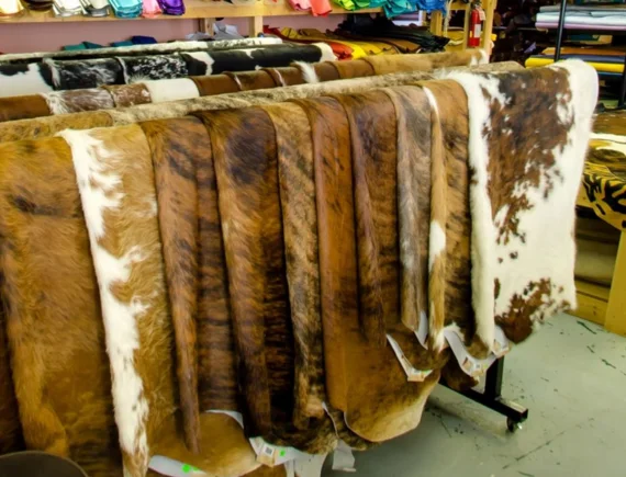 Retail Display Cowhide Rug in Dubai