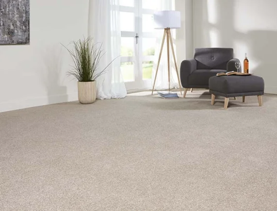 Soft Touch Saxony Elegance Carpet in Dubai