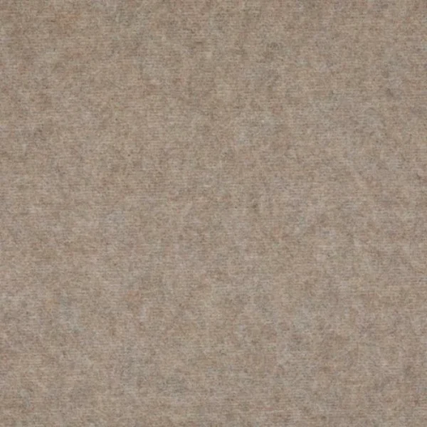 Sun 69 Light Beige Carpet