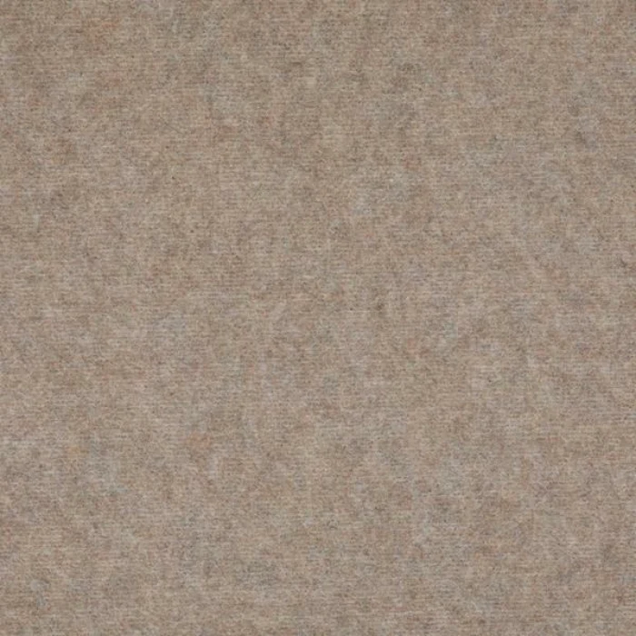 Sun 69 Light Beige Carpet