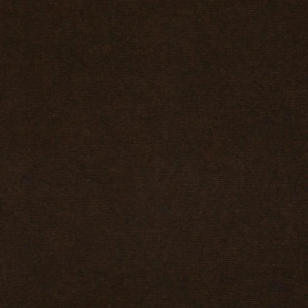 Sun 97 Brown Carpet
