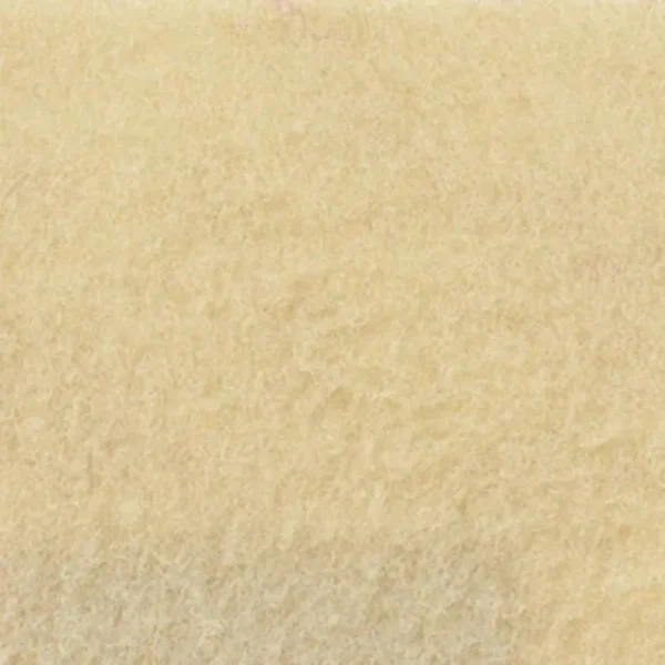 9506 Ivory