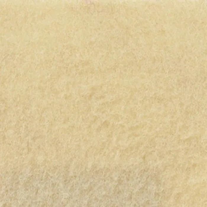 9506 Ivory