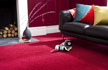 Affordable Red Carpet Dubai