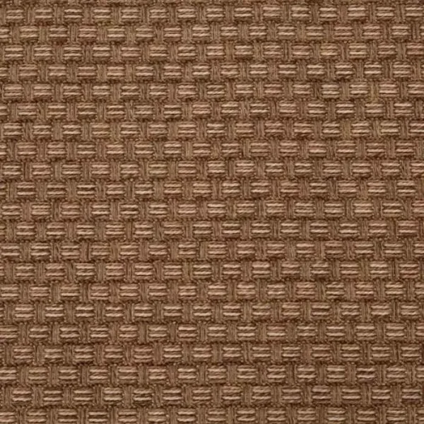 Basketweave Hickory Outdoor Rug img 1