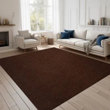 Premium brown carpet installation by experts