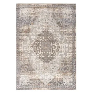 Distressed Medallion Outdoor Rug img 3