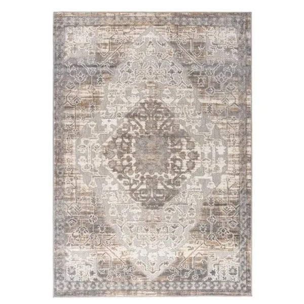 Distressed Medallion Outdoor Rug img 3