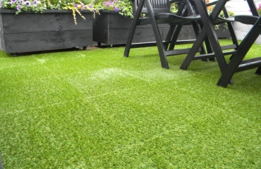 Grass Carpet Abu Dhabi
