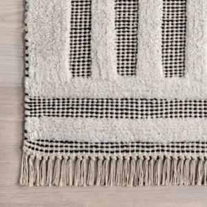 Merrick Tasseled Area Rug img 2