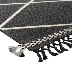 Tapestry Braid Outdoor Rug img 1