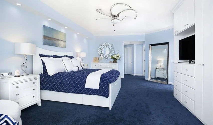 Blue carpets Dubai