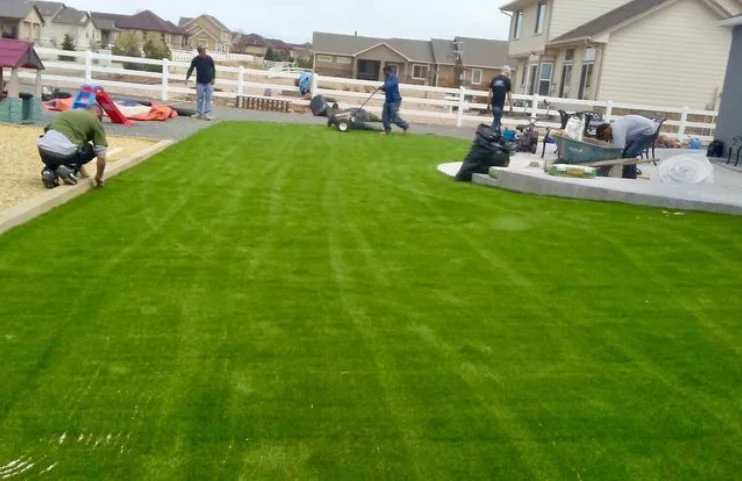 wall grass installation