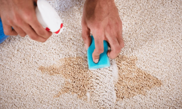 Spot carpet cleaning