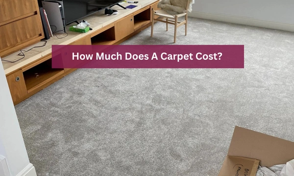 How Much Does A Carpet Cost