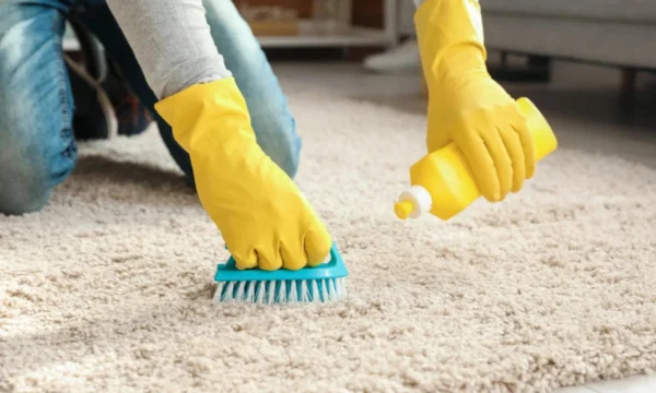 How to Get Gum Out of Carpet or Rug | Easy & Proven Hacks